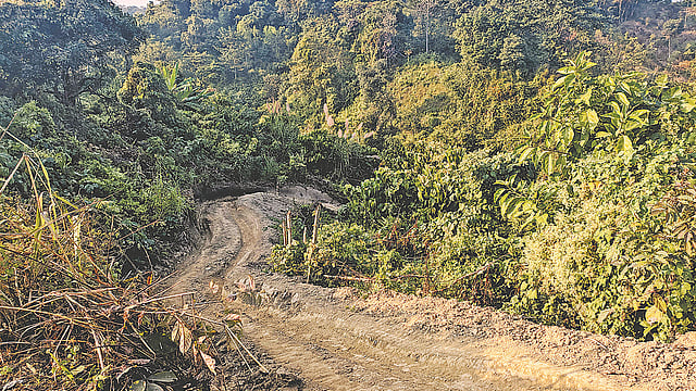 চট্টগ্রাম বিশ্ববিদ্যালয়ের আশপাশ থেকে নির্বিচারে সাবাড় হচ্ছে গাছ। পাহাড় কেটে তৈরি করা হয় রাস্তা। সম্প্রতি ক্যাম্পাসে জীববিজ্ঞান অনুষদের পেছনের পাহাড়ে।  ছবি: সুজয় চৌধুরী