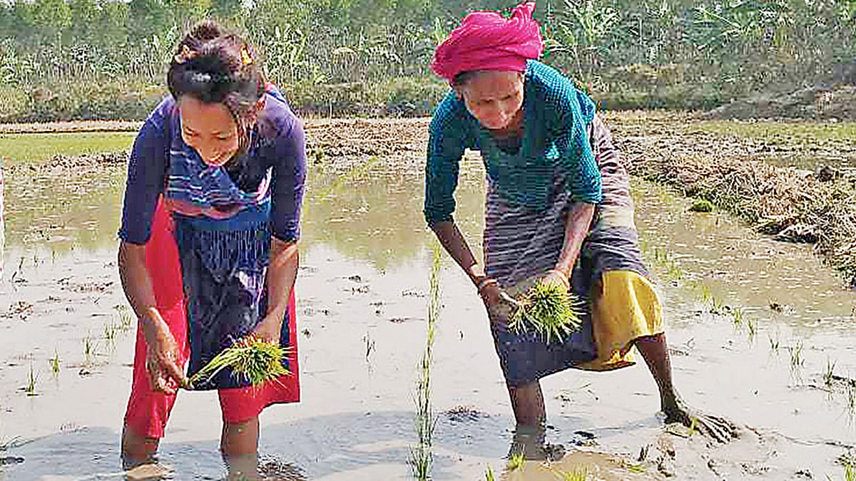নিজের জমিতে কৃষি কাজ করছেন গারো নারীরা।  ছবি: প্রথম আলো