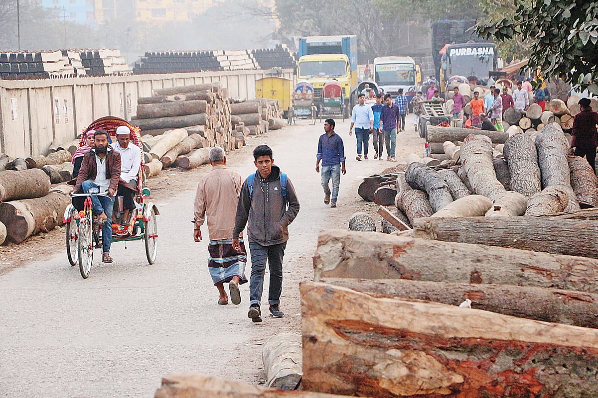 সড়কের দুই পাশে গাছের গুঁড়ি। ১৭ ফেব্রুয়ারি নারায়ণগঞ্জের চারার গোপ এলাকায়। প্রথম আলো