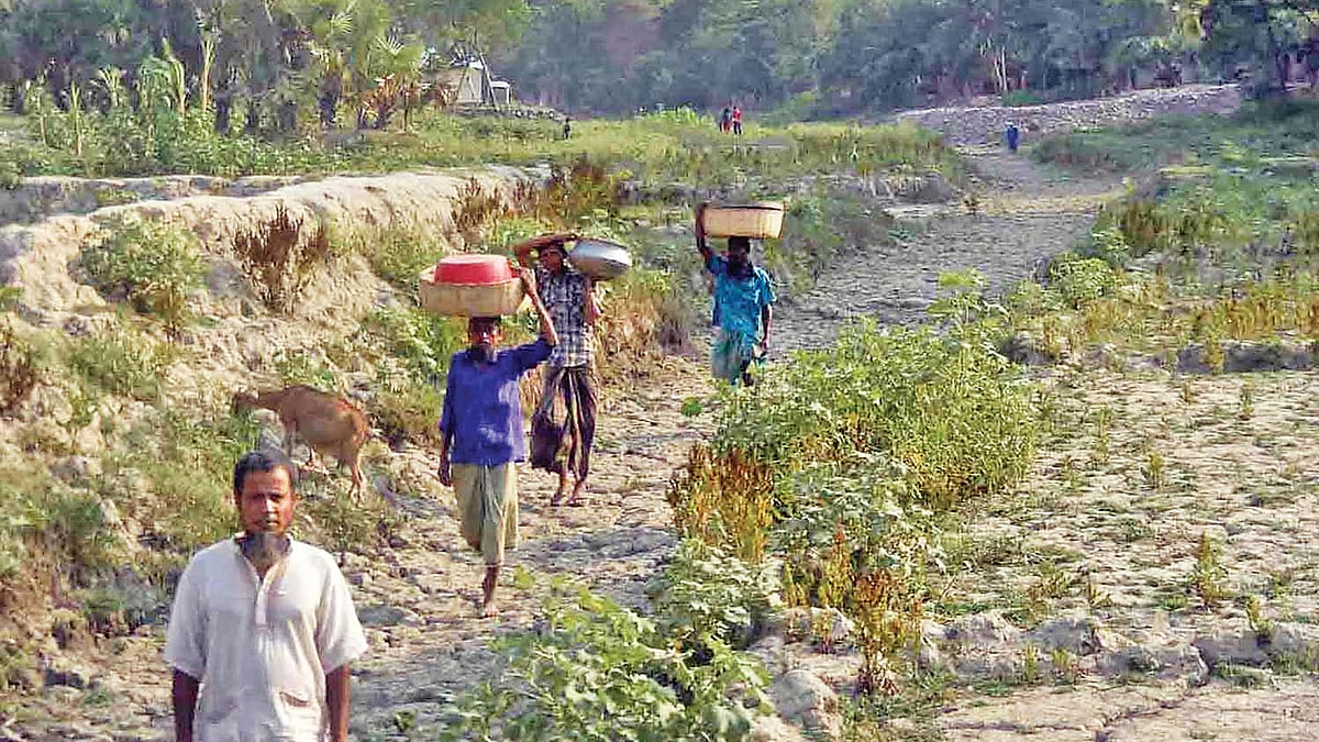 নদী শুকিয়ে চর। সম্প্রতি নড়াইলের কালিয়ার নলীয়া নদীর কলাবাড়িয়ায়। প্রথম আলো