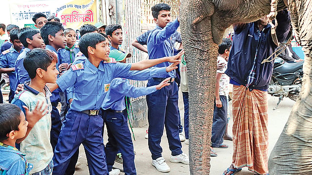 ১৭৫ বছর পূর্তিতে শোভাযাত্রার জন্য আনা হয় হাতি। পশুটি ঘিরে রয়েছে খুদে শিক্ষার্থীরা।  ছবি: প্রথম আলো