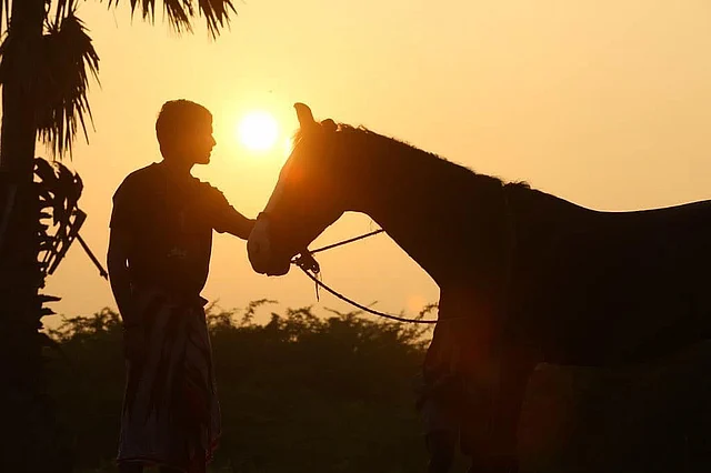 তিনি দক্ষিণ ভারত ও বলিউডের জনপ্রিয় তারকা ধানুশ।