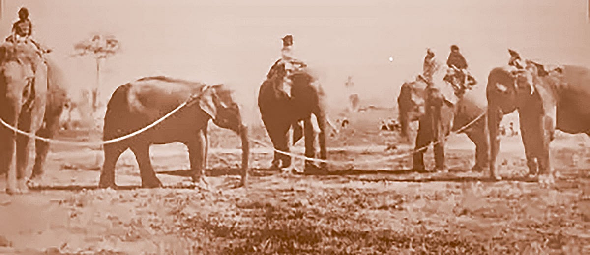 মোগল আমল থেকে উনিশ শতক পর্যন্ত ঢাকায় হাতি তাড়ানো  ছিল অন্যতম লাভজনক পেশা