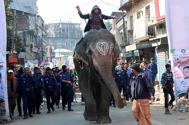 শোভাযাত্রায় হাতি।