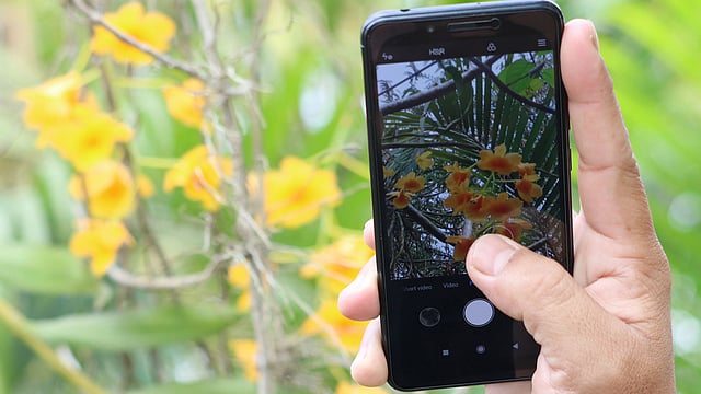এমন সুন্দর অর্কিডের ছবি তুলে রাখছেন একজন।