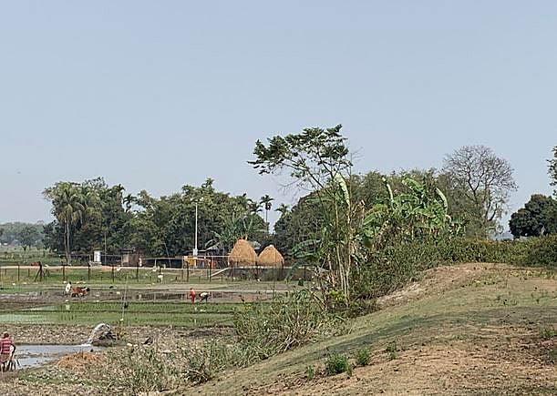ভারত সীমান্তের সঙ্গেই লাগোয়া গ্রাম দাড়িপাট্টানি। ঠিক এই গ্রামের মধ্য দিয়েই তিস্তা নদী প্রবেশ করেছে বাংলাদেশের ভূখণ্ডে। ছবি: লেখক
