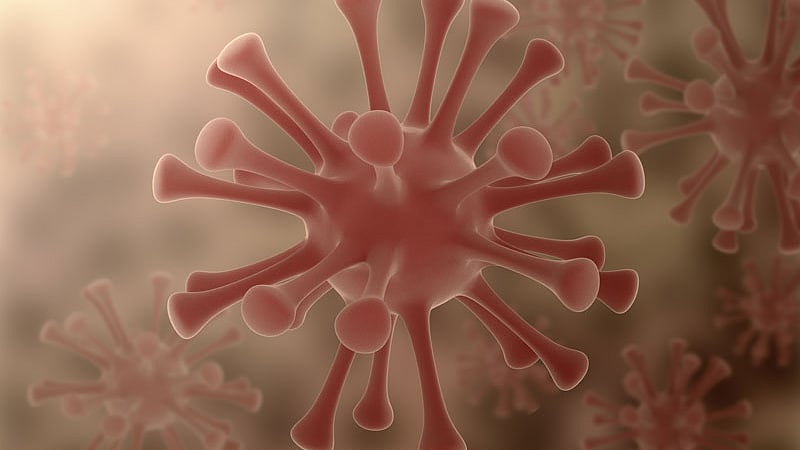 প্রতীকী ছবি