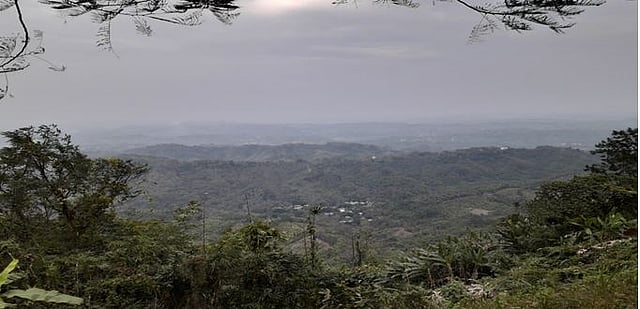 পাহাড়ের ভাঁজে ম্রোদের ঘরবাড়ি। ছবি: লেখক