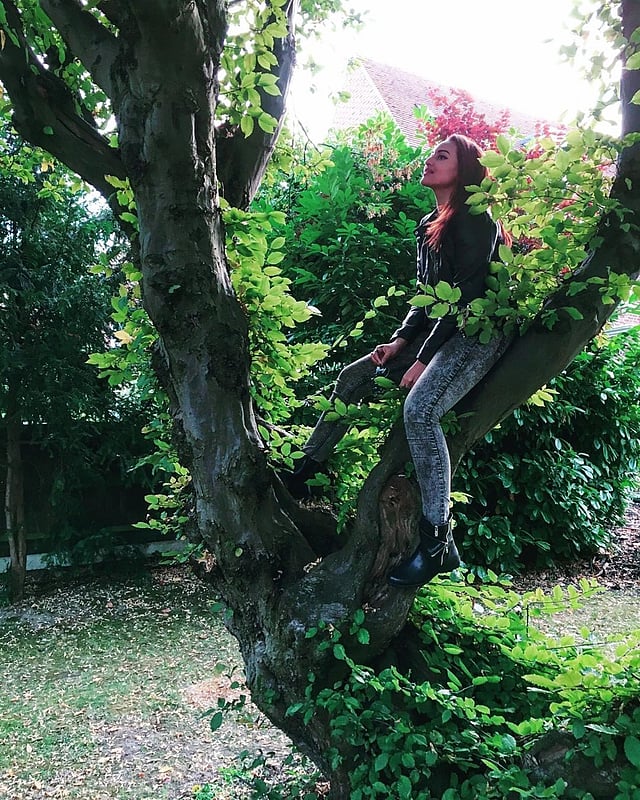 গাছ ভালোবাসেন সোনাক্ষী সিনহা। ছবি: ইনস্টাগ্রাম