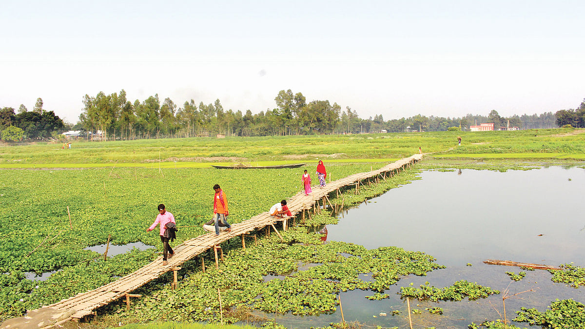 জামালপুরের সরিষাবাড়ীর চর রৌহা গ্রামের পাশে ঝিনাই নদের ওপর বাঁশের সাঁকো। সেখানে একটি পাকা সেতু নির্মাণের দাবি এলাকাবাসীর। ছবি: প্রথম আলো