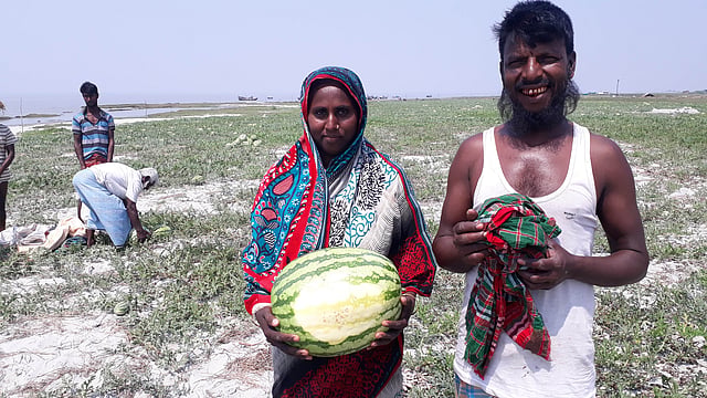 সাগরপাড়ের বালুচরে অনাবাদি জমিতে তরমুজের আগাম ফলনে হাসি ফুটেছে কৃষকের মুখে। সম্প্রতি পটুয়াখালীর রাঙ্গাবালী উপজেলার জাহাজমারা গ্রামে।  ছবি: প্রথম আলো