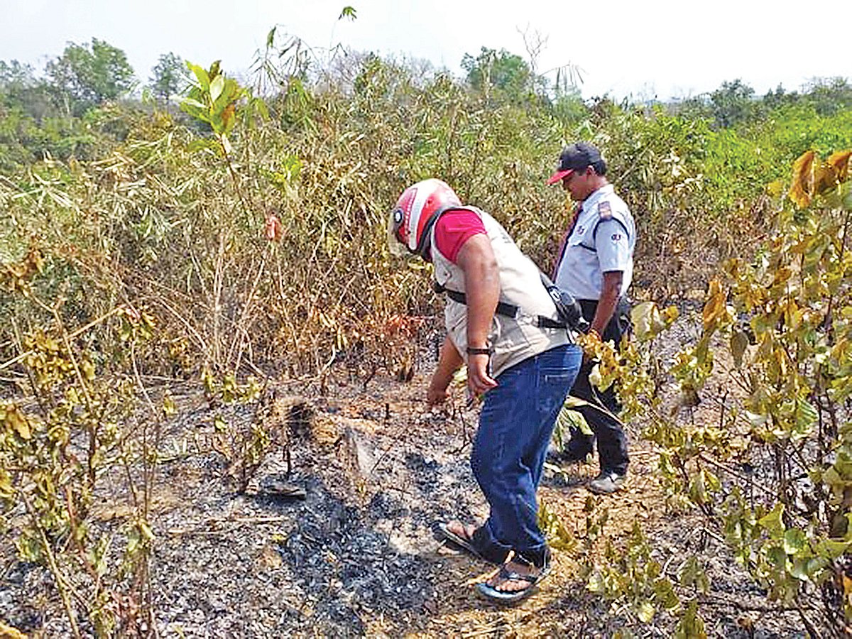 মৌলভীবাজারের কমলগঞ্জ উপজেলার লাউয়াছড়া উদ্যানসংলগ্ন বনে আগুন লাগার ঘটনায় তদন্ত শুরু হয়েছে। বন বিভাগের একটি দল গতকাল ঘটনাস্থল ঘুরে দেখে। প্রথম আলো