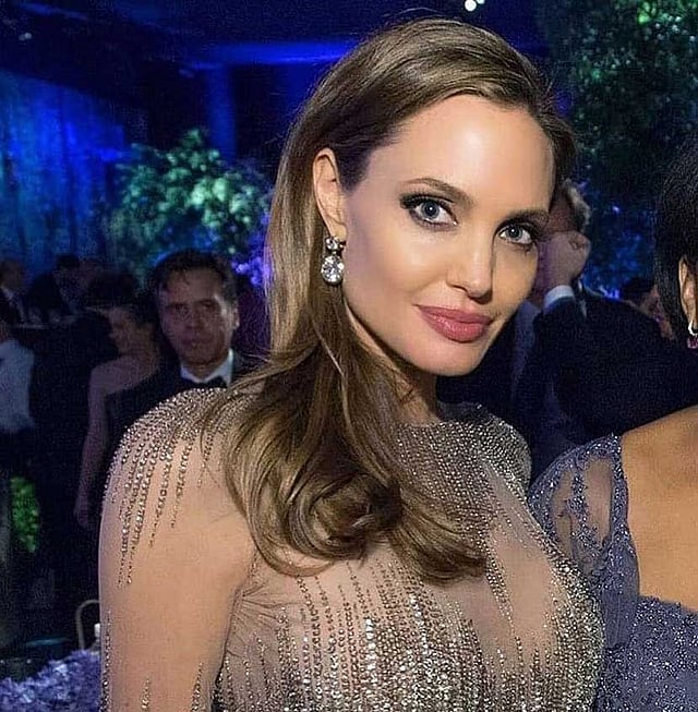 অ্যাঞ্জেলিনা জোলি। ছবি: ইনস্টাগ্রাম