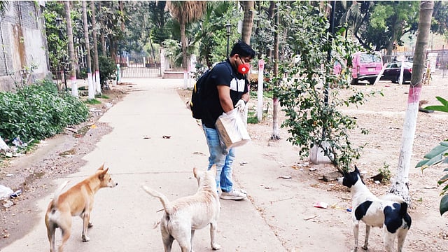 ঢাকা বিশ্ববিদ্যালয় প্রাঙ্গণের প্রাণীদের খাবারের ব্যবস্থা করেছেন প্রাণীপ্রেমী কিছু মানুষ। ছবি: সংগৃহীত