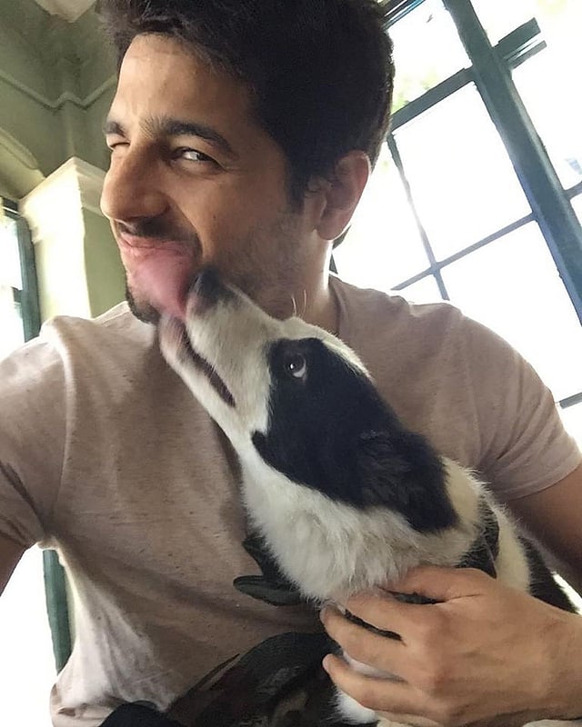 সিদ্ধার্থ মালহোত্রা লিখেছেন, ‘কুকুর করোনা ছড়ায় না। তাই আসুন, আমরা একসঙ্গে থাকি।’