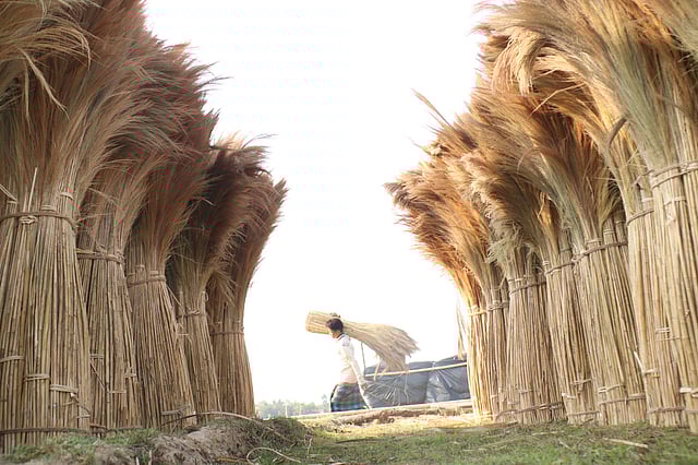 করোনার কারণে ব্যবসাপাতি বন্ধ। পড়ে আছে ফুলের ঝাড়ু তৈরি করার কাঁচামাল। বাস টার্মিনাল সড়ক, খাগড়াছড়ি, ২৮ মার্চ। ছবি: নীরব চৌধুরী