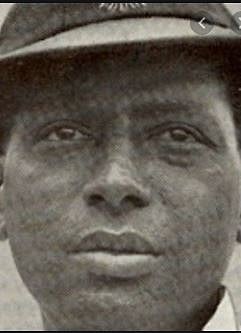 জনার্দন নাভল