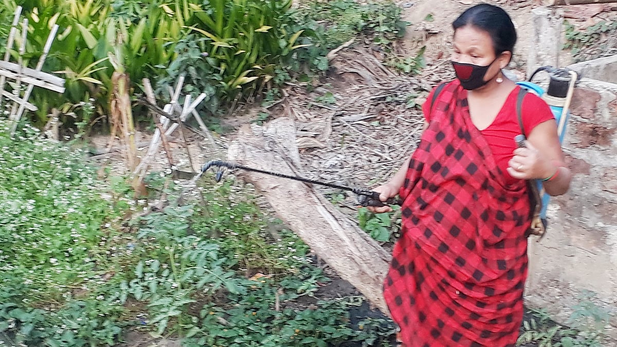 করোনাভাইরাসের বিস্তার ঠেকাতে নিজেদের গ্রাম লকডাউন করে রেখেছেন মৌলভীবাজারের জুড়ী উপজেলার এলবিনটিলা খাসিয়াপুঞ্জির লোকজন। বাড়ির আশপাশে জীবাণুনাশক ছিটিয়ে ঝুঁকিমুক্ত থাকার চেষ্টা। ছবি: প্রথম আলো