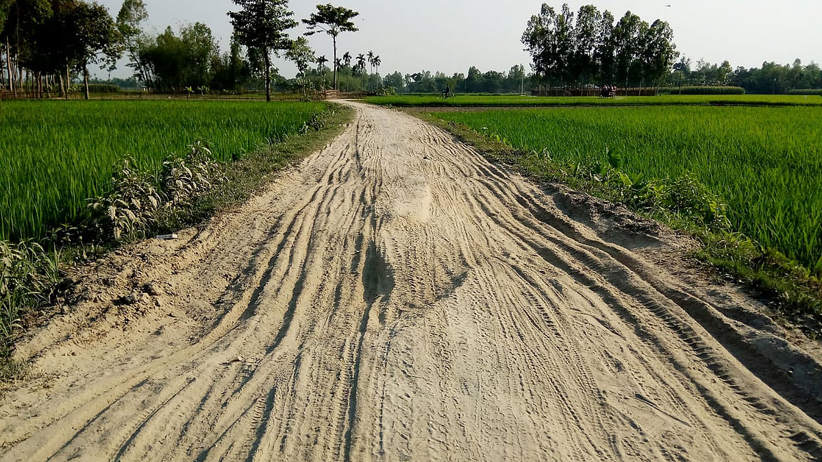 দিনাজপুরের বিরামপুরের কাটলা-দাউদপুর গ্রামের এই মেঠোপথটিতে অনেক ক্ষত আছে। ছবি: লেখক