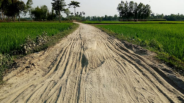 দিনাজপুরের বিরামপুরের কাটলা-দাউদপুর গ্রামের এই মেঠোপথটিতে অনেক ক্ষত আছে। ছবি: লেখক