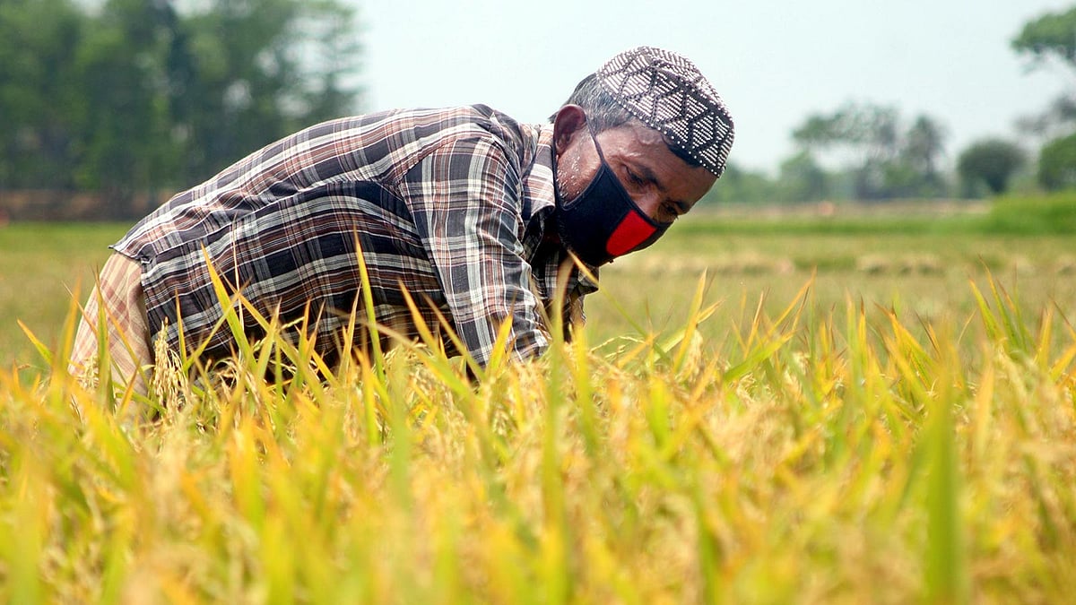 প্রথম আলো ফাইল ছবি