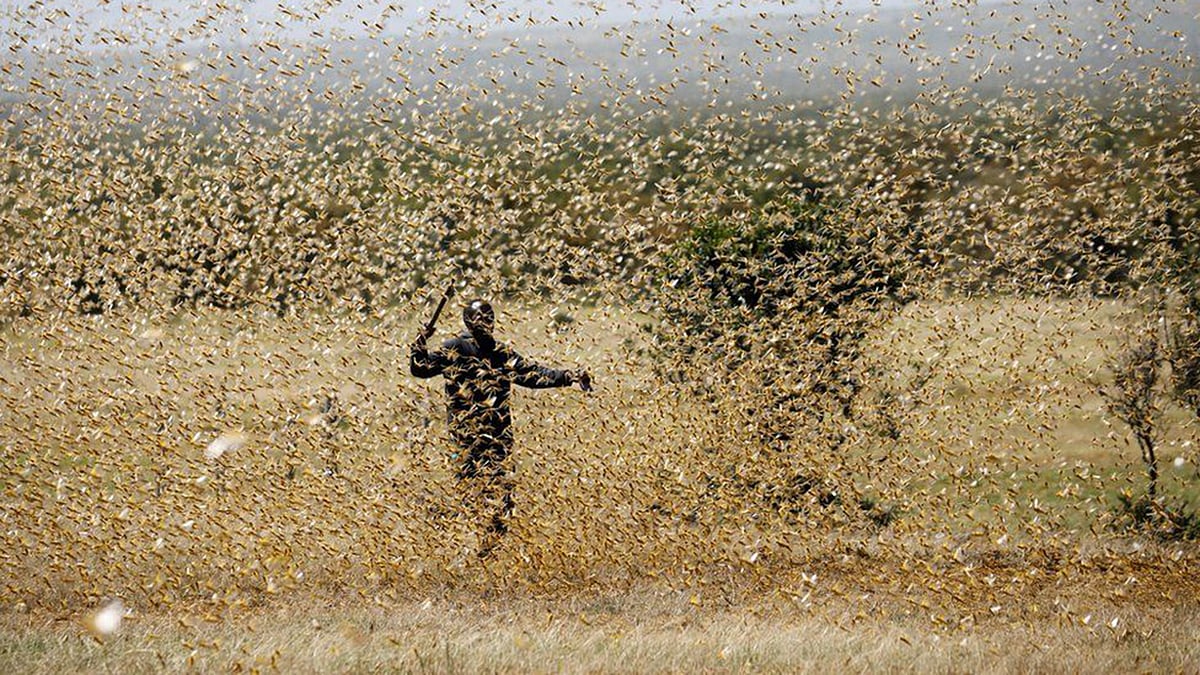 রয়টার্স ফাইল ছবি।