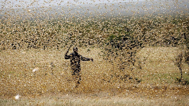 রয়টার্স ফাইল ছবি।