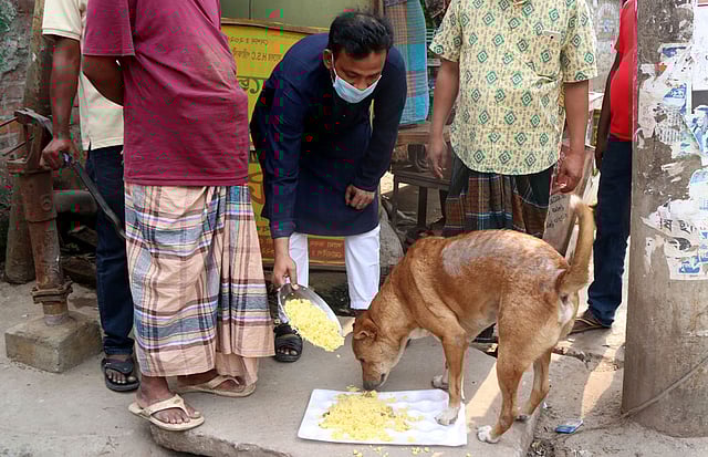 রান্না করা খিচুড়ি কুকুরদের খাওয়াচ্ছেন বগুড়া পৌরসভার ১১ নম্বর ওয়ার্ডের কাউন্সিলর সিপার আল বখতিয়ার। রোববার দুপুরে বগুড়া শহরের মালতিনগর বকশি বাজার মোড়ে। ছবি: সোয়েল রানা