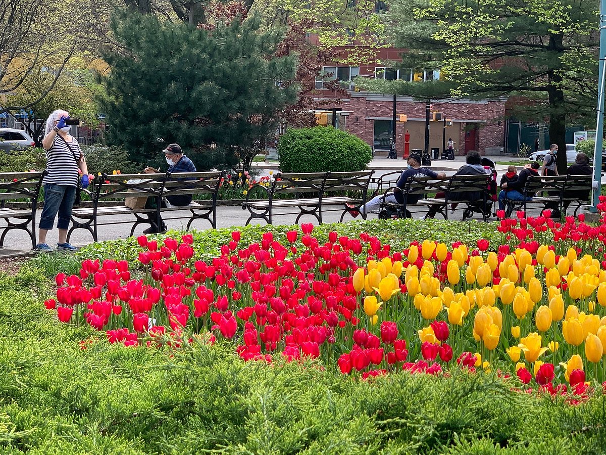 নিউইয়র্কের পার্কগুলোতে করোনার ভয় উপেক্ষা করে মানুষের ভিড়