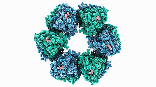 ভাইরাস মোকাবিলায় অ্যান্টিবডিভিত্তিক নতুন চিকিৎসা কৌশলের সন্ধান দিয়েছেন বিজ্ঞানীরা। ছবি: সংগৃহীত