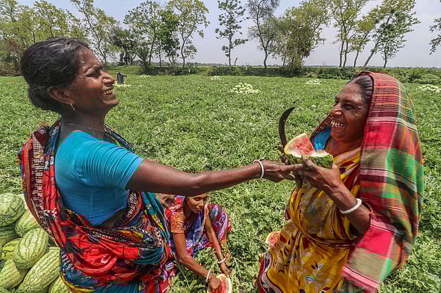তরমুজ খেতে কাজ চলছে সারাদিন। কাজের ফাঁকে  দুই নারী শ্রমিকের একটু অবসর।  বাজুয়া, দাকোপ উপজেলা, খুলনা, ৪ মে। ছবি: সাদ্দাম হোসেন