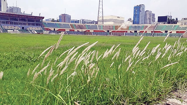 খেলা দূরে থাক, অনেক দিন হলো মাঠকর্মীদের পা-ও পড়ছে না বঙ্গবন্ধু জাতীয় স্টেডিয়ামে। ফুটবল মাঠে তাই দেখা মিলেছে কাশফুলের। বড় হচ্ছে ঘাস।  ছবি: বদিউজ্জামান