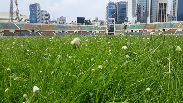 বঙ্গবন্ধু স্টেডিয়ামের বর্তমান অবস্থা। ছবি: প্রথম আলো