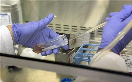 স্টেম সেল নিয়ে গবেষণা করে কার্যকর চিকিৎসাপদ্ধতি উদ্ভাবন করছেন বিশেষজ্ঞরা। ছবি: রয়টার্স