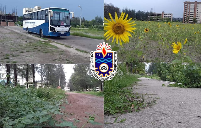 দীর্ঘদিন বন্ধ থাকা নোবিপ্রবিতে জাগছে প্রকৃতি বেয়ে উঠেছে লতাপাতা। ছবি: তারেক রহমান ঈমন