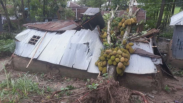 ঘূর্ণিঝড় আম্পানের প্রভাবে কুষ্টিয়া পৌরসভার চেচুয়া এলাকার মেজবার আলীর বসতঘরের ওপর গাছ ভেঙে পড়ে। কুষ্টিয়া, ২১ মে। ছবি: তৌহিদী হাসান