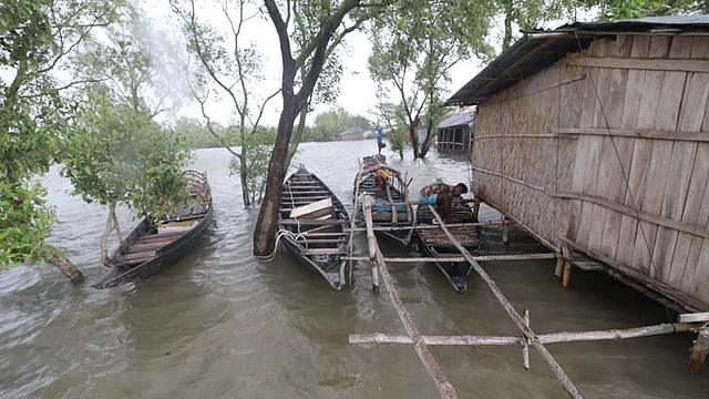 ঘূর্ণিঝড় আম্পানের জলোচ্ছ্বাসের  উচ্চতা ৩ থেকে ৪ ফুট কমিয়েছে বিশ্বের সবচেয়ে বড় শ্বাসমূলীয় বন সুন্দরবন। সুন্দরবন, ৩ নং কয়রা, কয়রা উপজেলা,  খুলনা, ২০ মে। ছবি: সাদ্দাম হোসেন