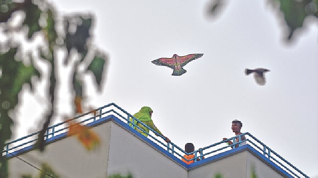 জীবন থেমে থাকে না। ঘূর্ণিঝড় আম্পান বিদায়ের পর শুক্রবারের আকাশে উঠেছে ঝলমলে রোদ। শিশুরা তাই ছাদে উঠেছে ঘুড়ি ওড়াতে। করোনায় এবার ঘরবন্দী ঈদে শহরের শিশুদের একমাত্র আনন্দের উৎস হতে পারে ছাদ বেড়ানো ও ঘুড়ি ওড়ানো। গতকাল বিকেলে পাবনা শহরের পৈলানপুর এলাকায়।  ছবি: হাসান মাহমুদ