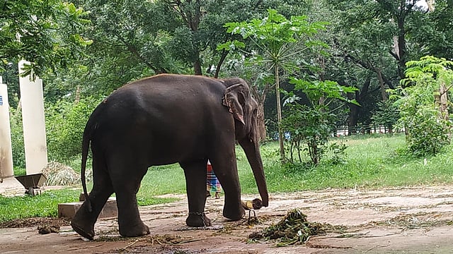 করোনাভাইরাসের কারণে চিত্র পাল্টে গেছে। ছবি: প্রথম আলো