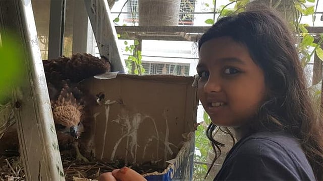 ছানার দেখাশোনা করছে নয়নতারা