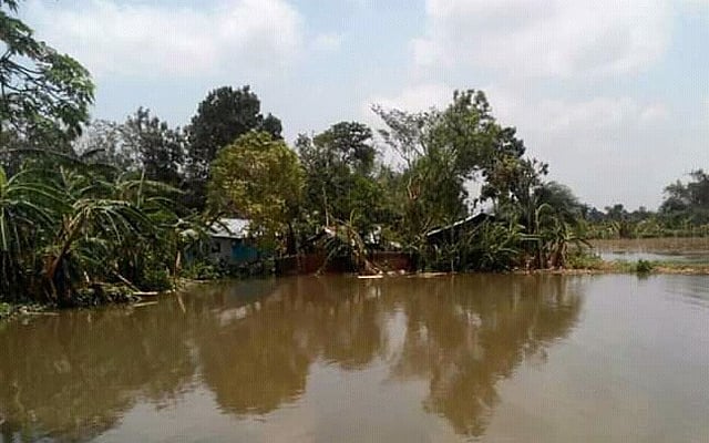 কালভার্টের মুখ বন্ধ করে গোয়াল ঘর নির্মাণ করায় পানিবন্দী হয়ে পড়েছে ১১টি পরিবার। ছবি: প্রথম আলো