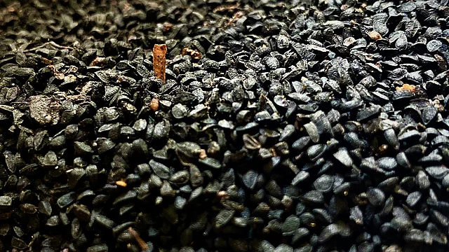 দীর্ঘ মেয়াদে ভেষজ খাবার খেতে পারেন। তবে সেগুলোর ওপরই নির্ভর করবেন না। ছবি: রজত কান্তি রায়