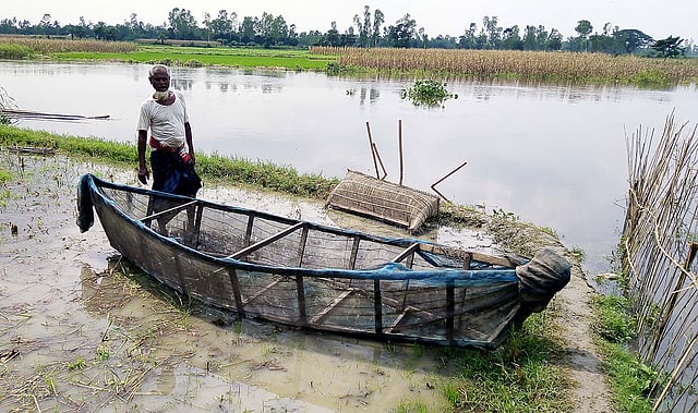 প্রতিদিন সন্ধ্যায় এই নৌকাটির কাঠের বাটামের সঙ্গে চার-পাঁচটি বড় ইট ও গাছের ছোট ডাল-পাতা দিয়ে পানির মধ্যে ডুবিয়ে রাখেন। পরদিন সকালে নৌকাটি পানি থেকে তুললে বিভিন্ন ধরনের ছোট মাছ পাওয়া যায়। কাশিয়াবালা, মির্জাপুর, শেরপুর, বগুড়া। ছবি: সবুজ চৌধুরী