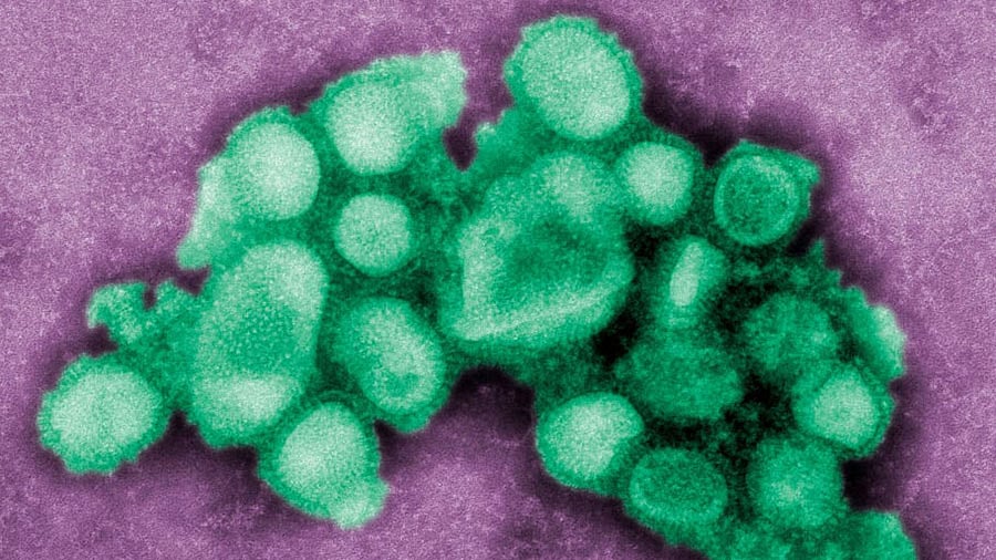 অ্যান্টিবায়োটিকের যথেচ্ছ ব্যবহারে ব্যাকটেরিয়া অ্যান্টিবায়োটিক প্রতিরোধী হয়ে উঠছে। ছবি: রয়টার্স