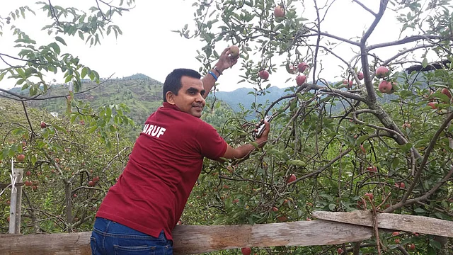 ভুটানের আপেল সুস্বাদু। ছবি: সংগৃহীত