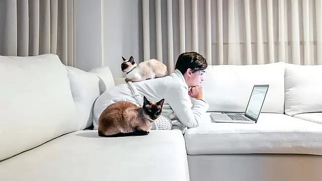 ঘরে বসে কাজ করছে বিশ্বের অসংখ্য মানুষ। ছবি সংগৃহীত