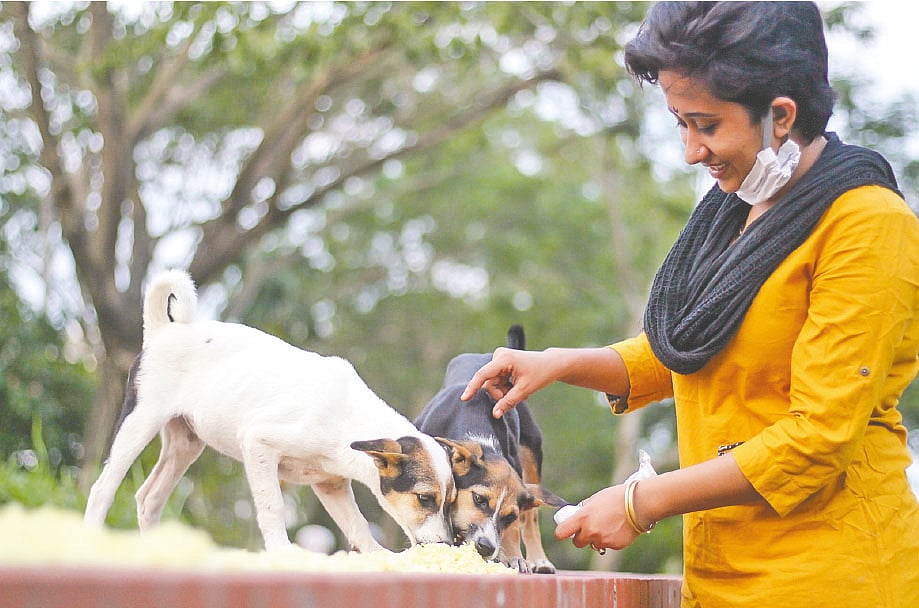 ক্যাম্পাসের ক্ষুধার্ত কুকুরগুলোর জন্য খাবার নিয়ে আসেন মৌমিতা। ছবি: লেখক