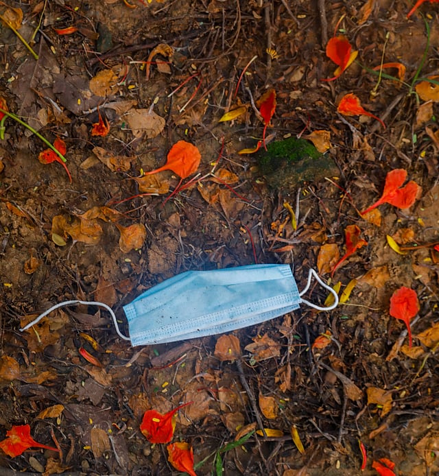 কৃষ্ণচূড়াগাছের নিচে মাস্ক