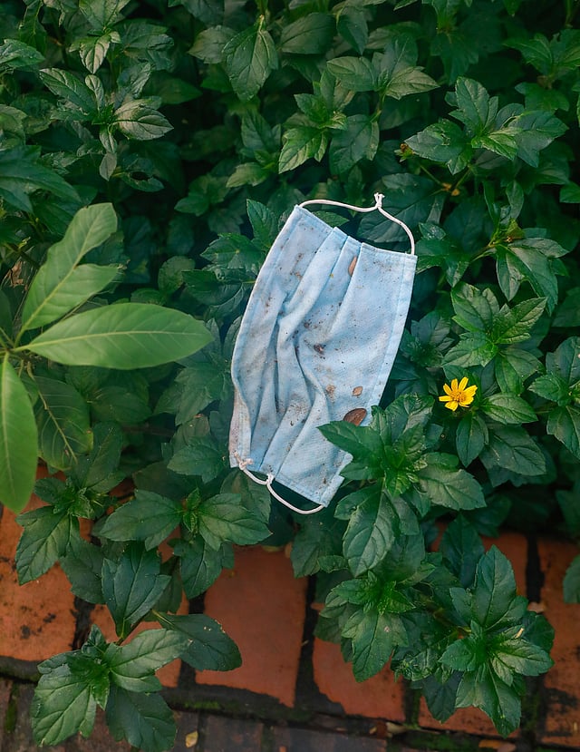 সৌন্দর্যবর্ধন করা গাছের ওপর পড়ে আছে মাস্ক