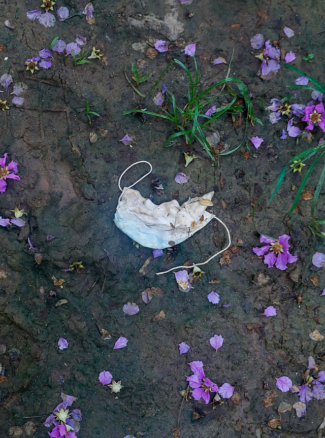 ঝরে পড়া ফুলের মধ্যে ব্যবহৃত মাস্ক